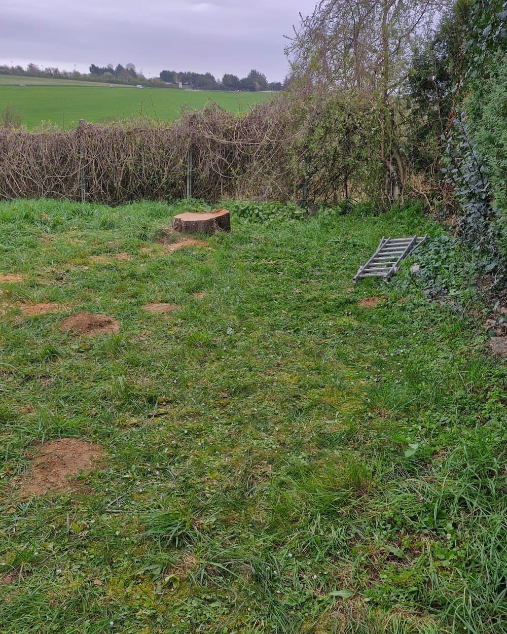 Après le chantier : terrain propre